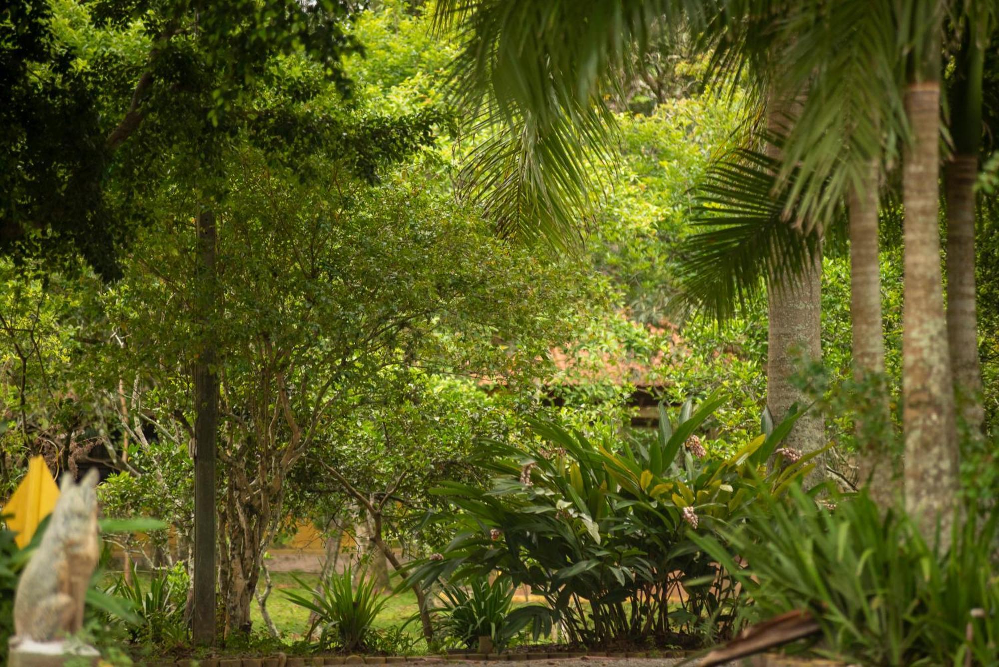 Pousada Chacara Rio Jordao Florianópolis Extérieur photo